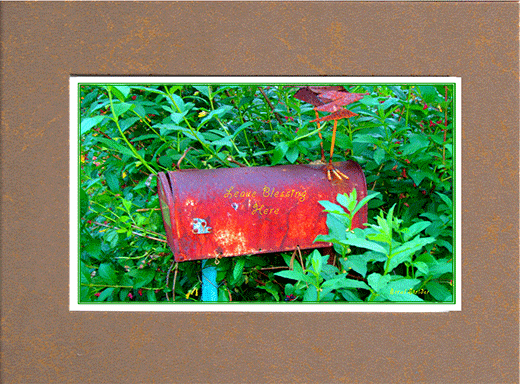 Picture of old mail box in the midst of green folage with saying on box, 