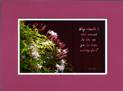 Picture of flowers with saying, 